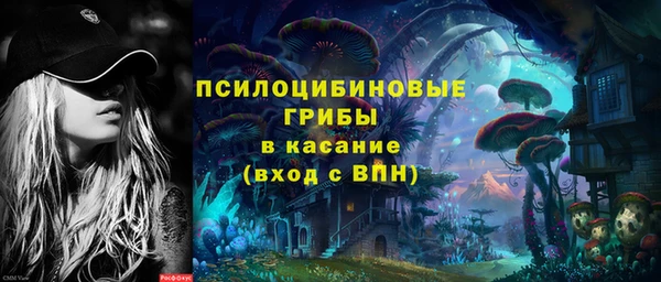 ешки Няндома