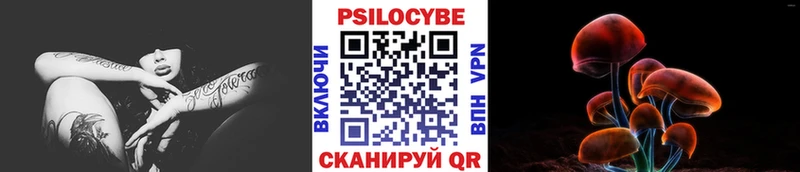 где купить наркоту  Межгорье  KRAKEN ССЫЛКА  Псилоцибиновые грибы Psilocybe 
